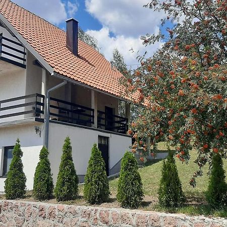 Kuca Sa Pogledom Na Tornik Villa Zlatibor Exterior photo